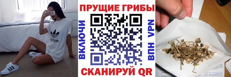купить наркотик  Ливны  Галлюциногенные грибы Psilocybine cubensis 